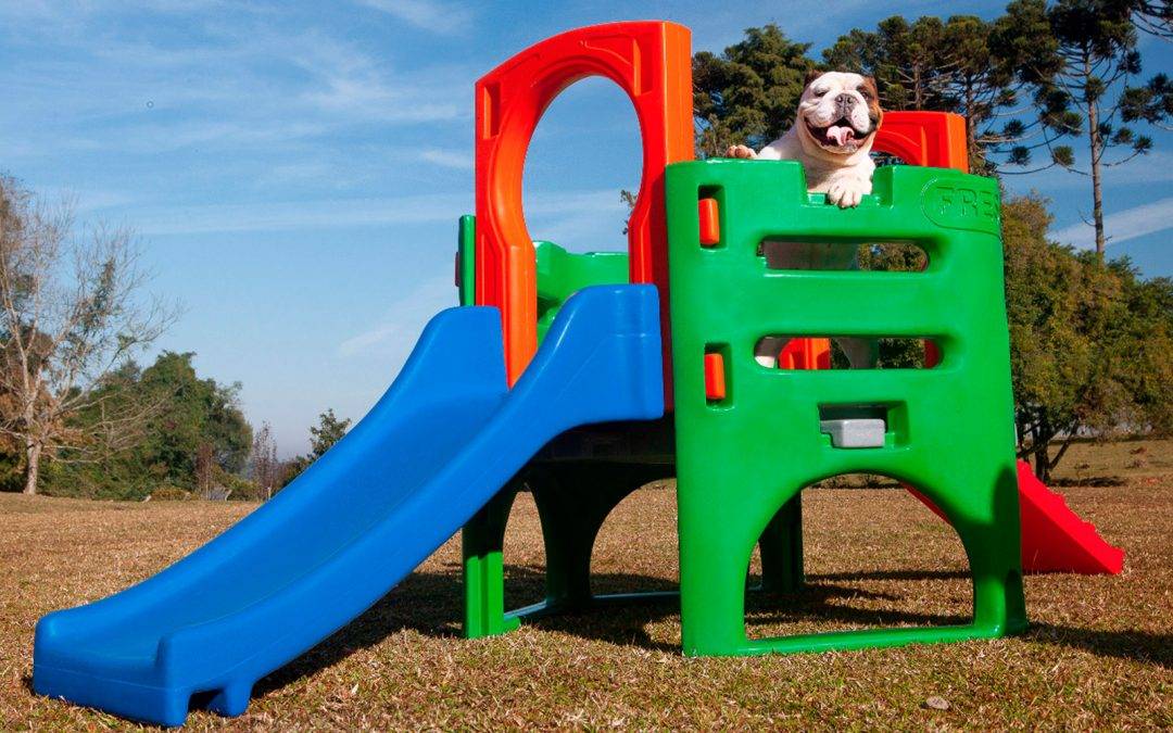Já imaginou ter um Playground Freso exclusivo para PETS?