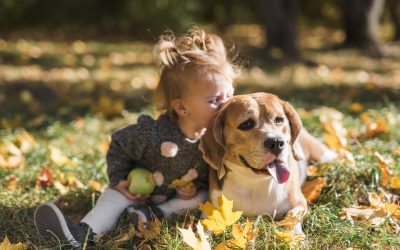 Descubra 3 benefícios na interação entre cachorros e crianças